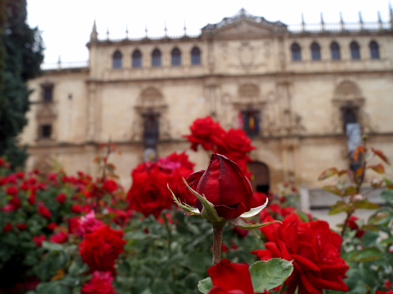 Fachada del Rectorado de la Universidad de Alcalá